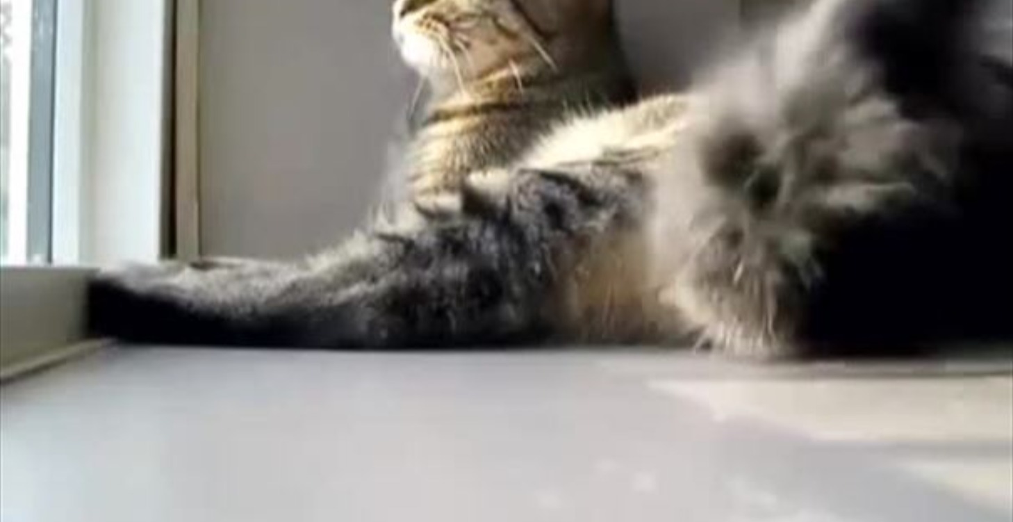 Chattering and chirping