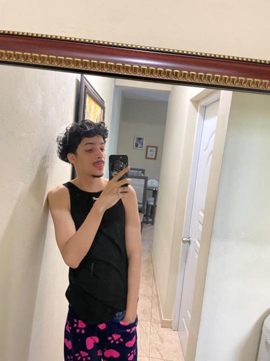 Michael De Jesus Mendoza Valerio