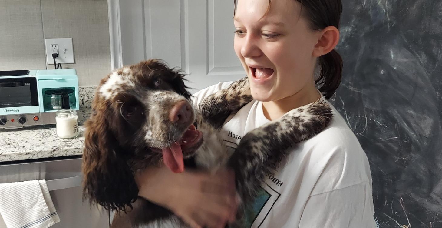 What to expect when bringing a new dog home.