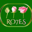 The Seven Roses Skool icon