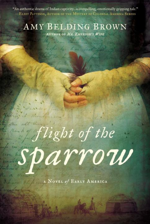 Flight of the Sparrow 
