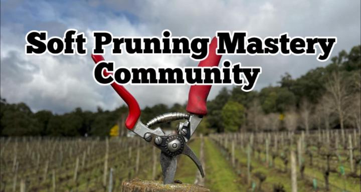 Soft Pruning Mastery
