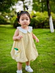Kaizhi Xie
