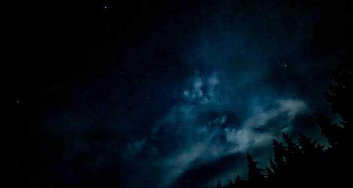 PNW Oddities & Earth Treasures