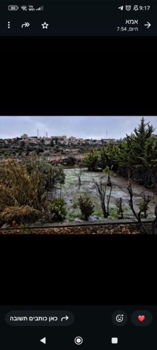 מוריה קובלסקי