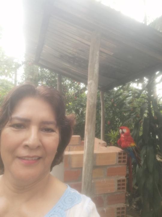 Gladys Torres