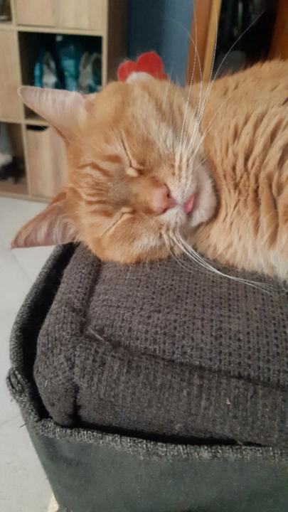 Alessandra Demadonna