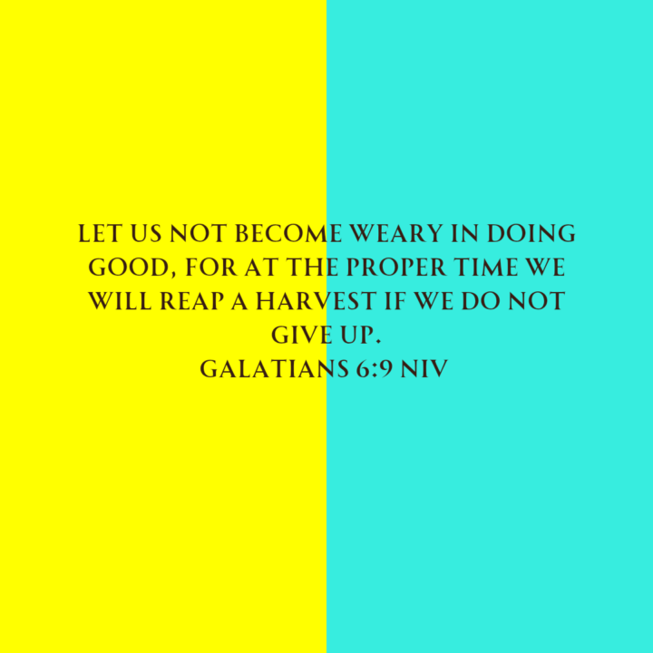 What is Your Verse?