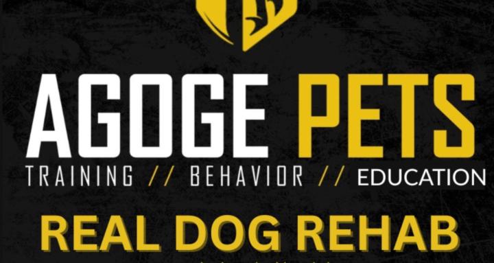 Real Dog Rehab: Chaos to Calm