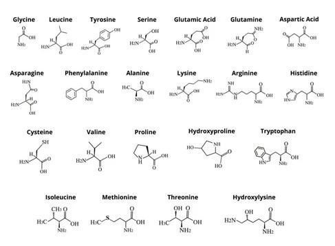 Q & A. Par aminoskābēm.