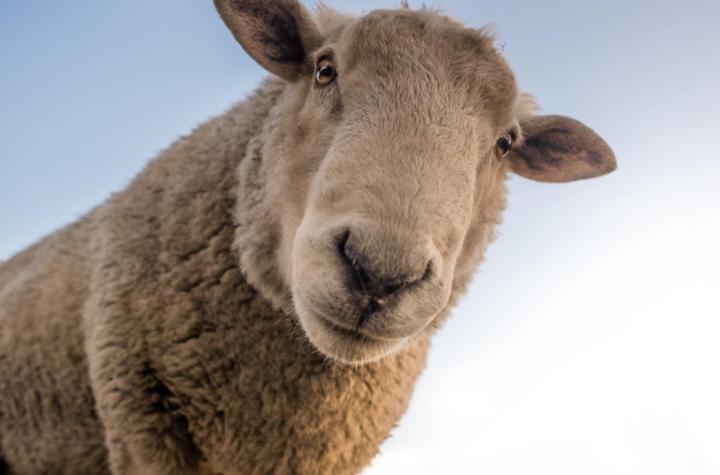 1. DIENA un pirmais solis - saprast, kāpēc tu neguli 🚨