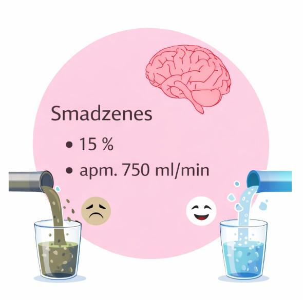 💧 Kāds sakars tavam miegam un smadzenēm ar ikdienā lietoto ūdeni?