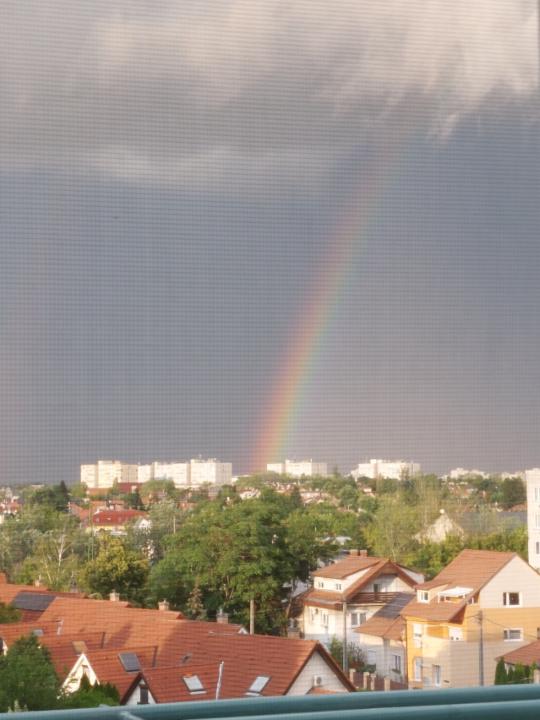 Zsuzsanna Tamásiné Horváth