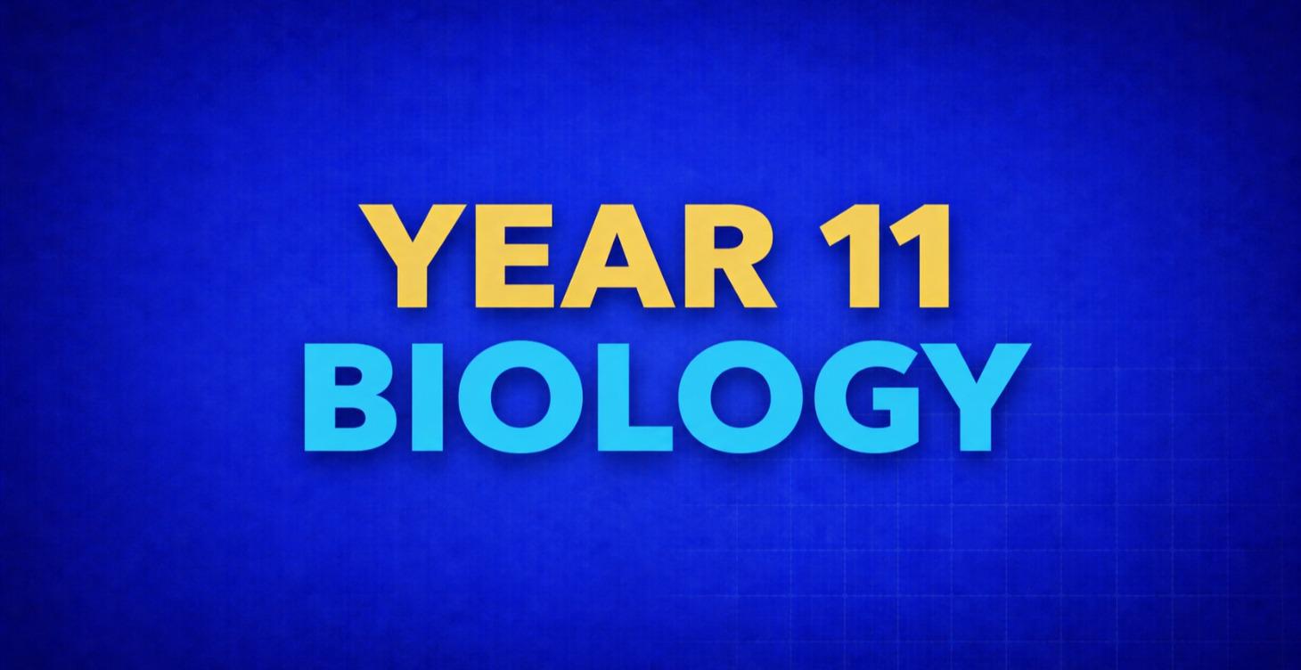 Biology Year 11 (Free)