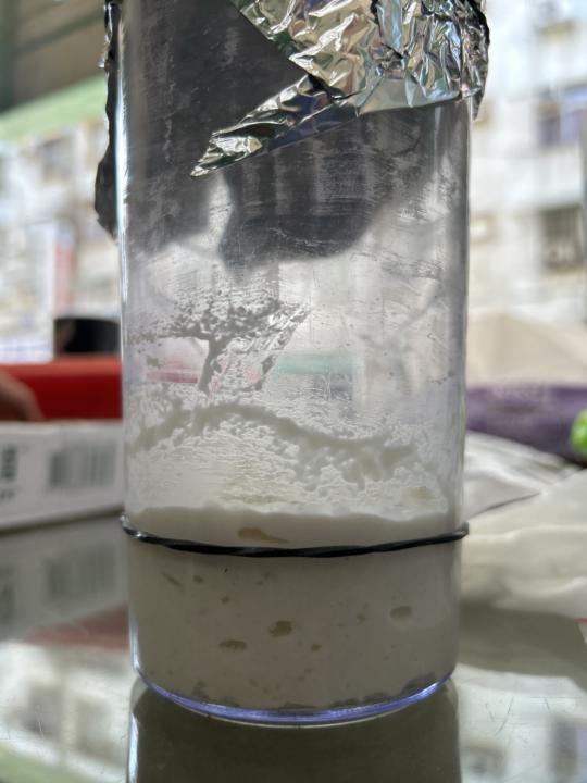 新手第一次 製作麵包練習波蘭種