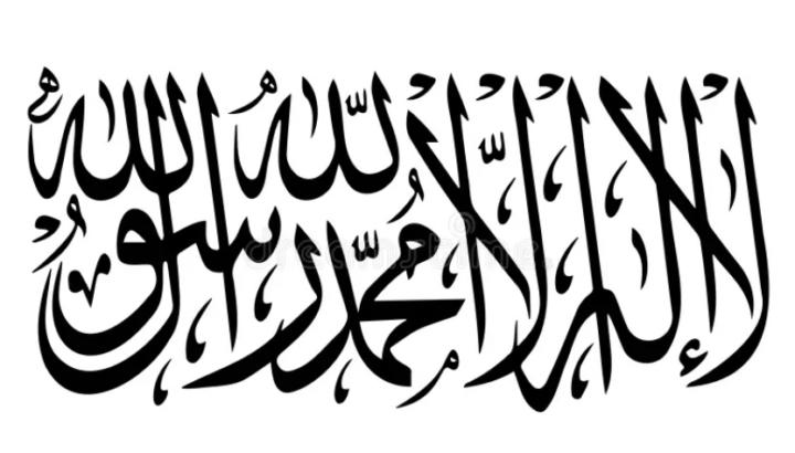 Tahir Meer