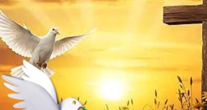 Mission of the Spirit Church