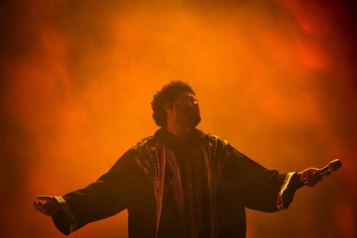 Rodrigo Linerio castillo