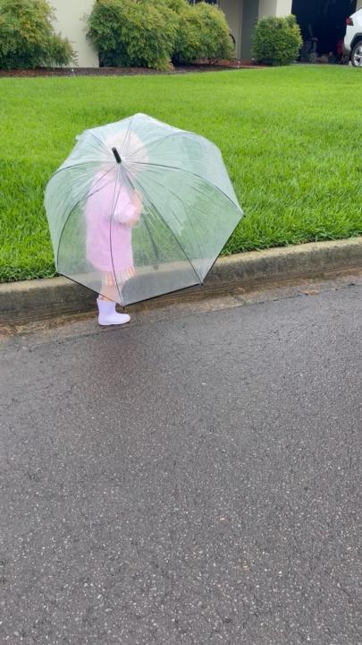 Growing In The Puddles