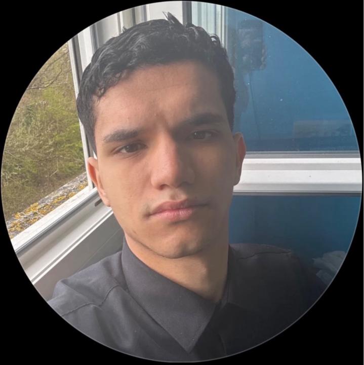Adel Zup