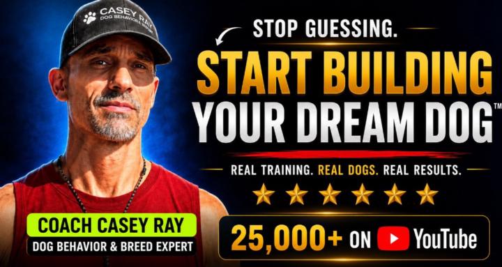 Dream Dog™ Coaching Community
