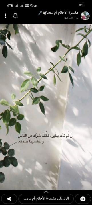 Amel Rahama