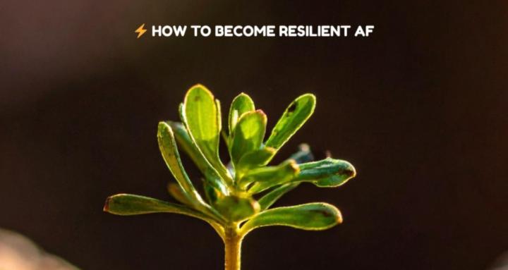Resilient AF
