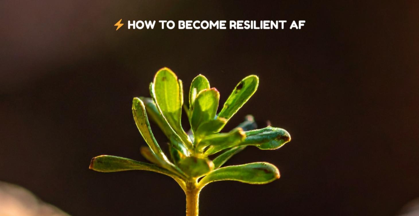 How to Become Resilient AF