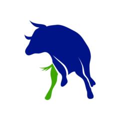 New York Trading Club