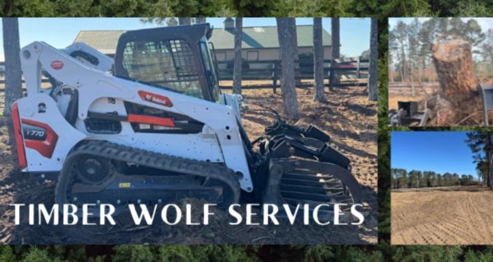 Timber Wolf Services LLC