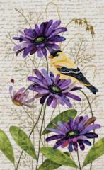 Connie Anderson