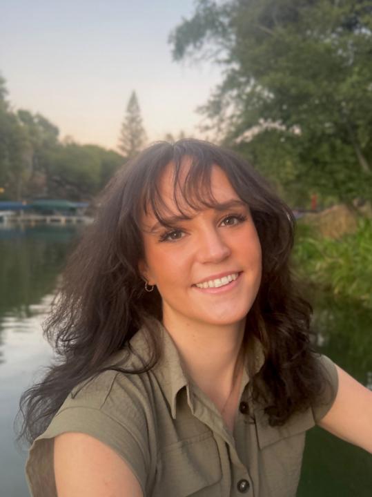 Lauren Sapperstein
