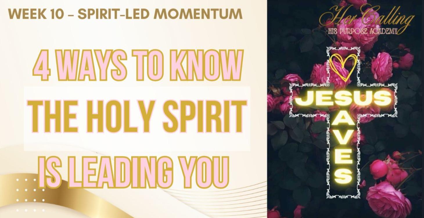 Spirit Led Momentum