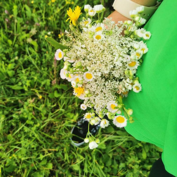 Alžbeta Martinková