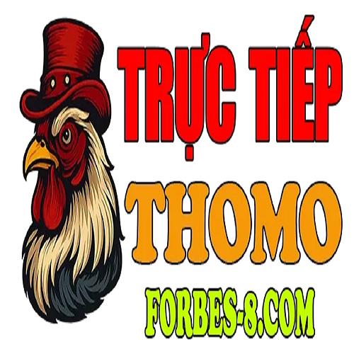 Đá gà trực tiếp Thomo hôm nay