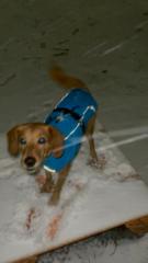 Aleksandra Stojanovic