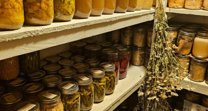 Homesteading Made Simple