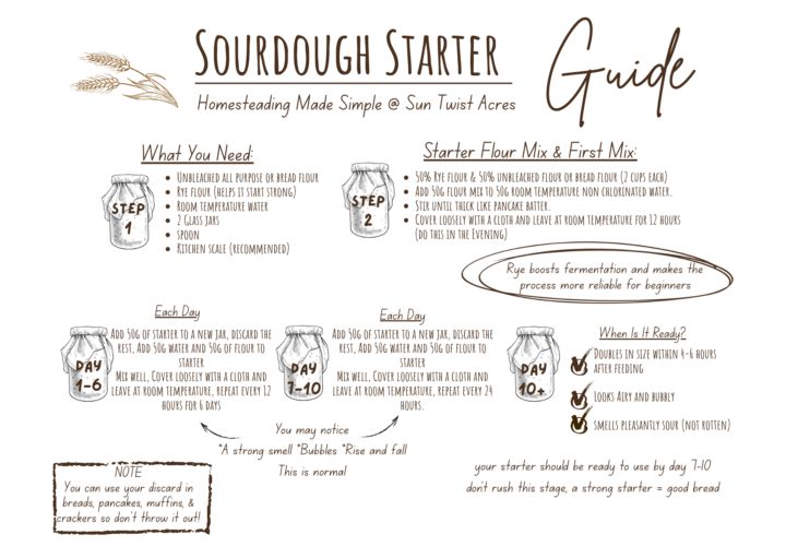 Sourdough Starter Guide