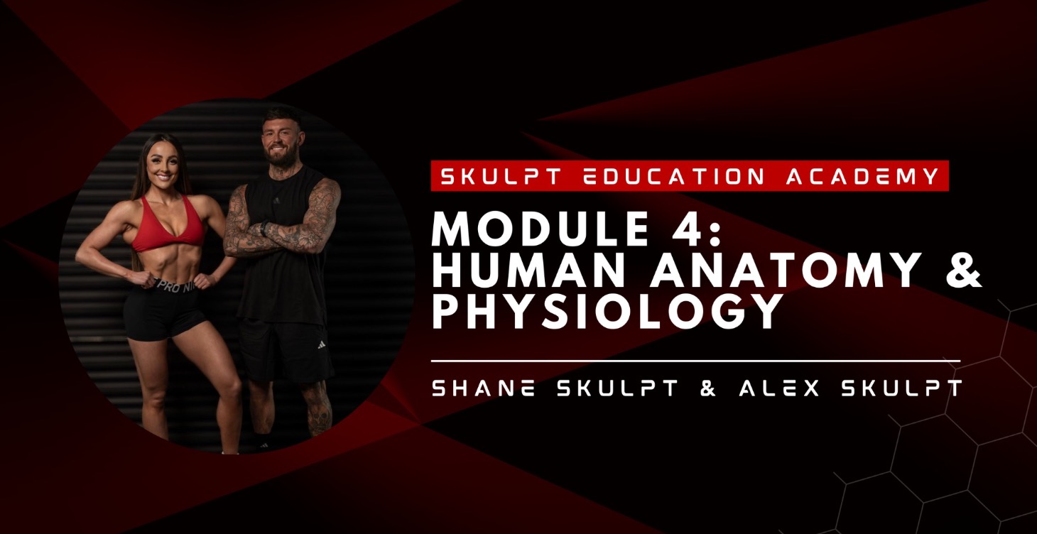 Module 4 - Human anatomy & physiology