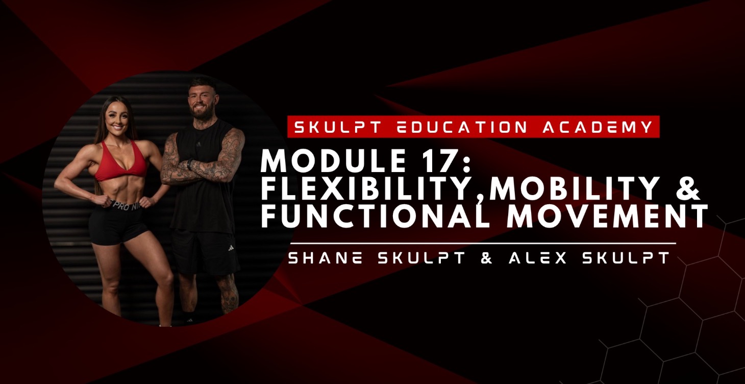 Module 17 - Flexibility, Mobility, and Movement