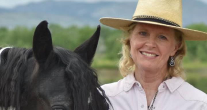 Creators of Calm in the Chaos