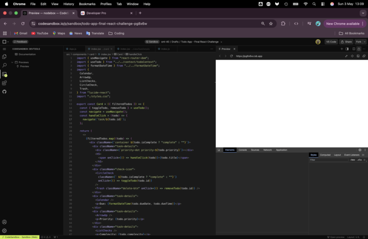 Issues codesandbox