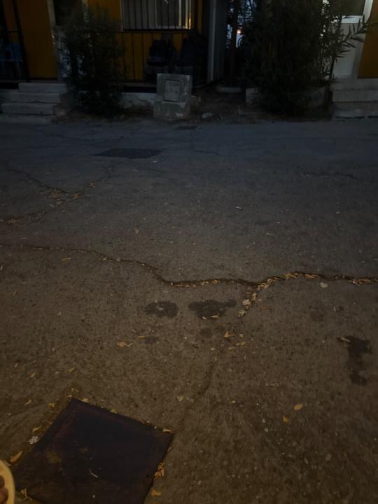 Adrii Adrii