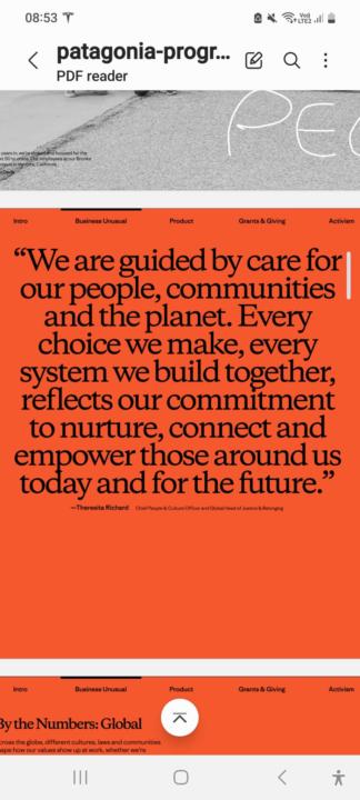 Patagonia Impact Report 2025