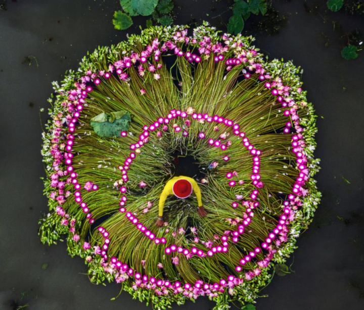 Three ways humans are embedded in the biosphere