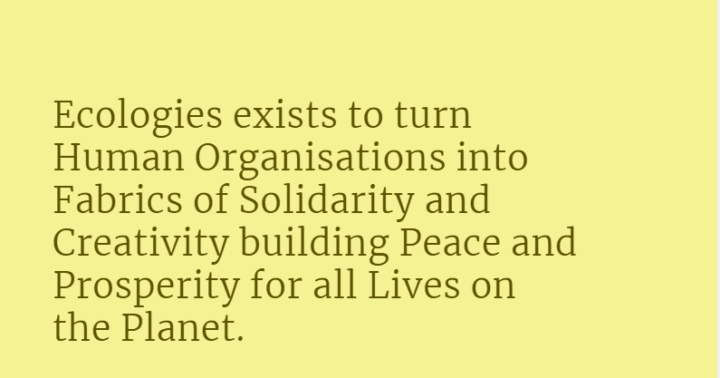 November 13th Learning session with Ecologies - Connecting the IDGs to the SDGs for Impact in Organizations