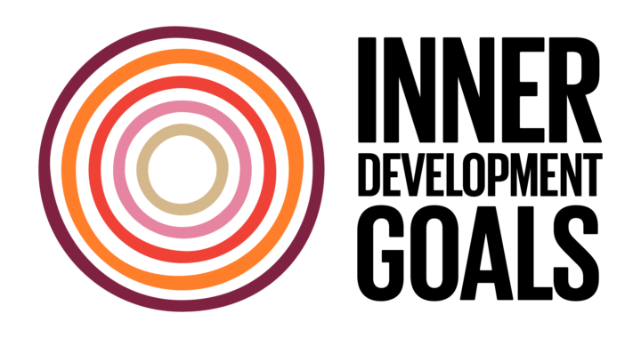 🌟 Update see end of post: Co-Creating the IDG Guiding Principles: Share Your Voice! 🌟
