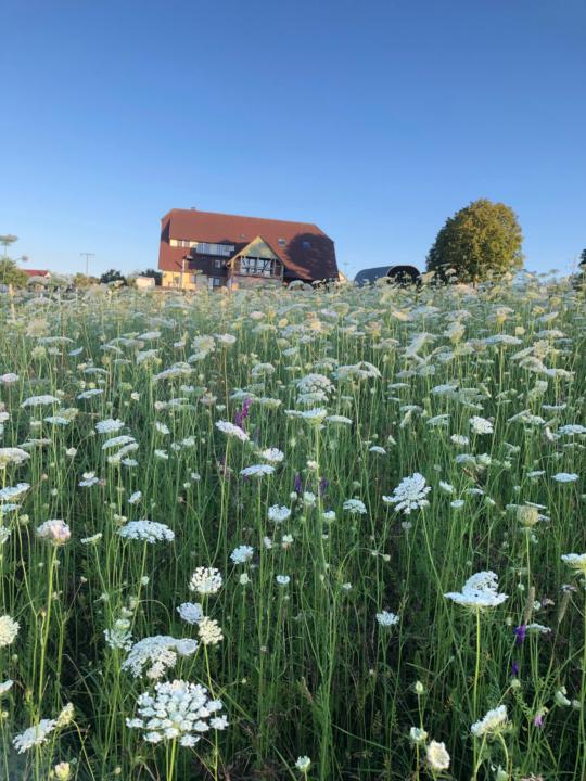 Join Us for Our April Connection Call: “Abundance Inside and Out – Cultivating a Mindset of More”
