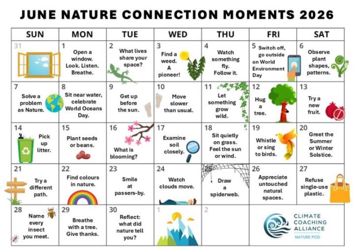 June Nature Connection 