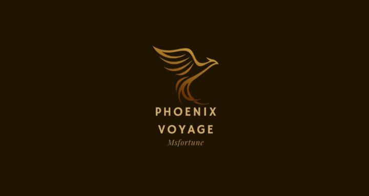 香港女力自由社群 (她嶼Phoenix voyage）